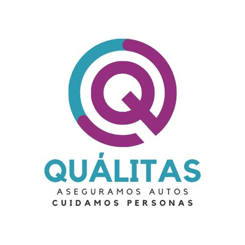 Logo  - qualitas.png